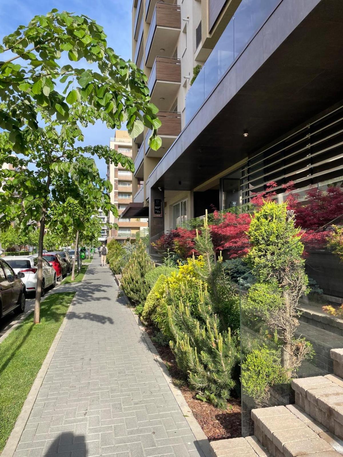Alto Studio & Free Private Parking Brasov Luaran gambar