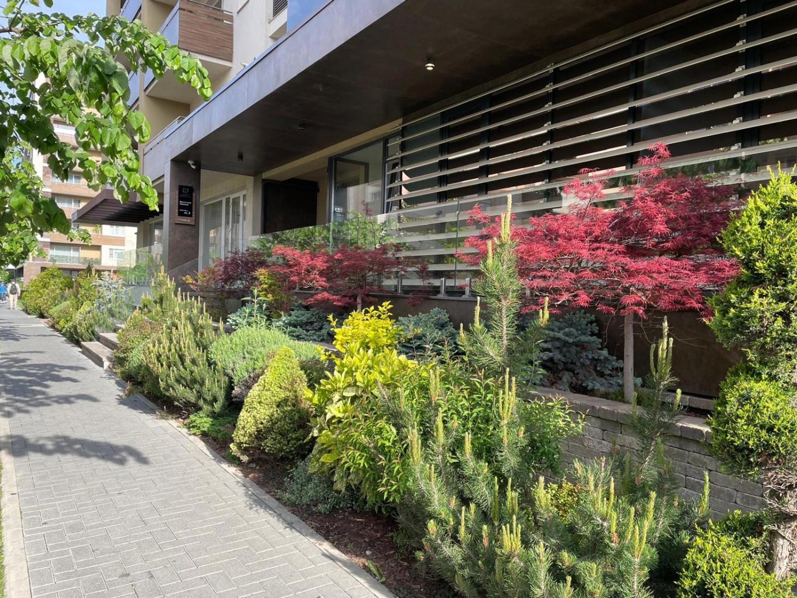 Alto Studio & Free Private Parking Brasov Luaran gambar